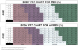 How to Improve Body Composition to Achieve a Lean Body – Body Fat vs Muscle Ratio
